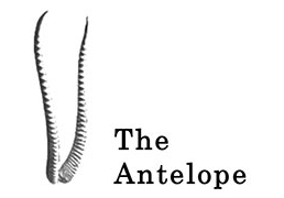Antelope-logo-180
