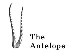 The Antelope